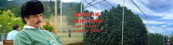 PSILOCYBIN Заволжье