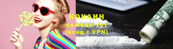 альфа пвп Заводоуковск