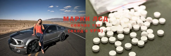 PSILOCYBIN Заволжье
