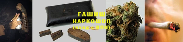 PSILOCYBIN Заволжье