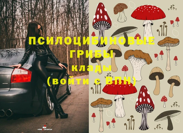 PSILOCYBIN Заволжье