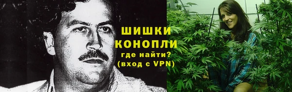 PSILOCYBIN Заволжье