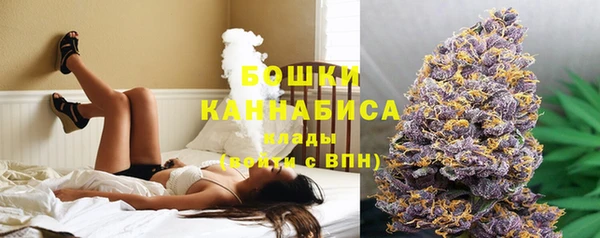 PSILOCYBIN Заволжье