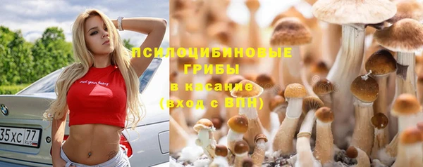 PSILOCYBIN Заволжье