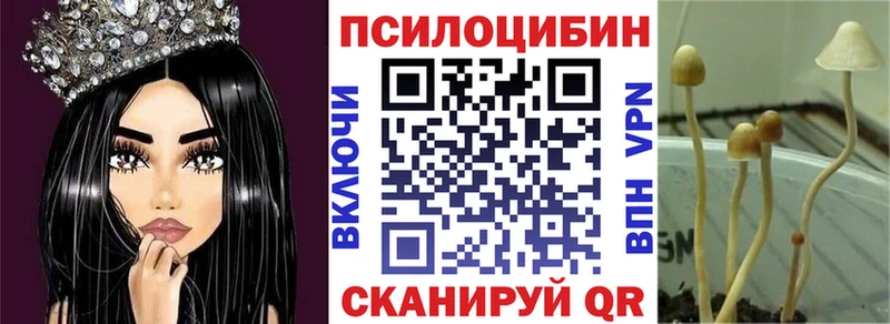 Галлюциногенные грибы Psilocybe Купить закладки Алатырь