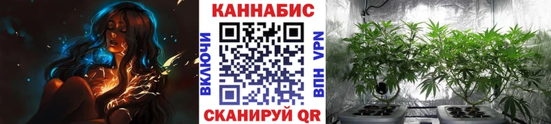 Купить закладки  Алатырь  Каннабис Bruce Banner 